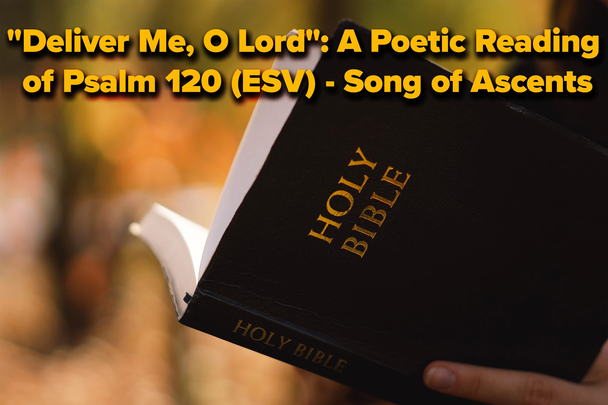 "Deliver Me, O Lord": A Poetic Reading of Psalm 120 - Song of Ascents
